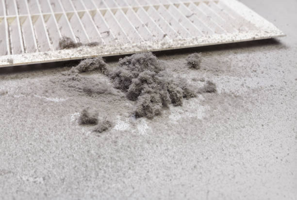 Air Duct Mold Removal in Caledonia, MI