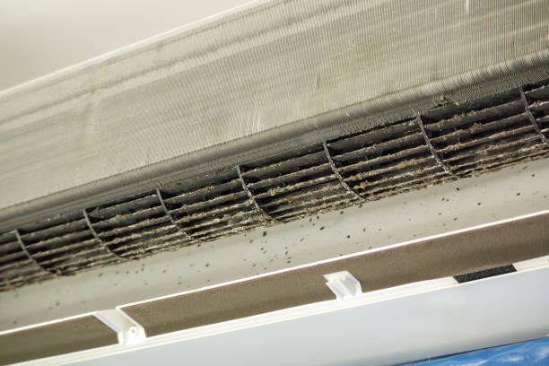 Best Air Quality Test  in Caledonia, MI